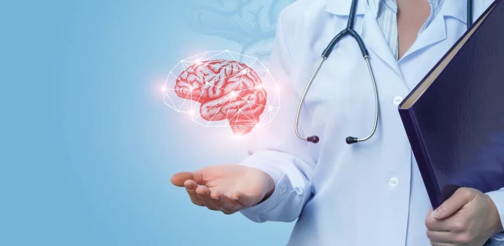 Brain scan image