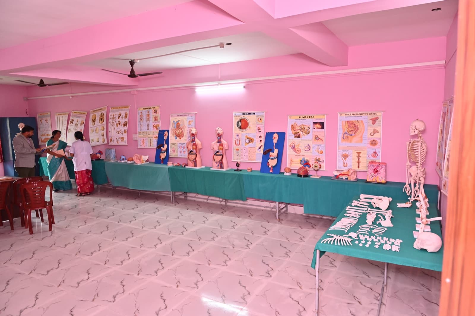 Anatomy Lab