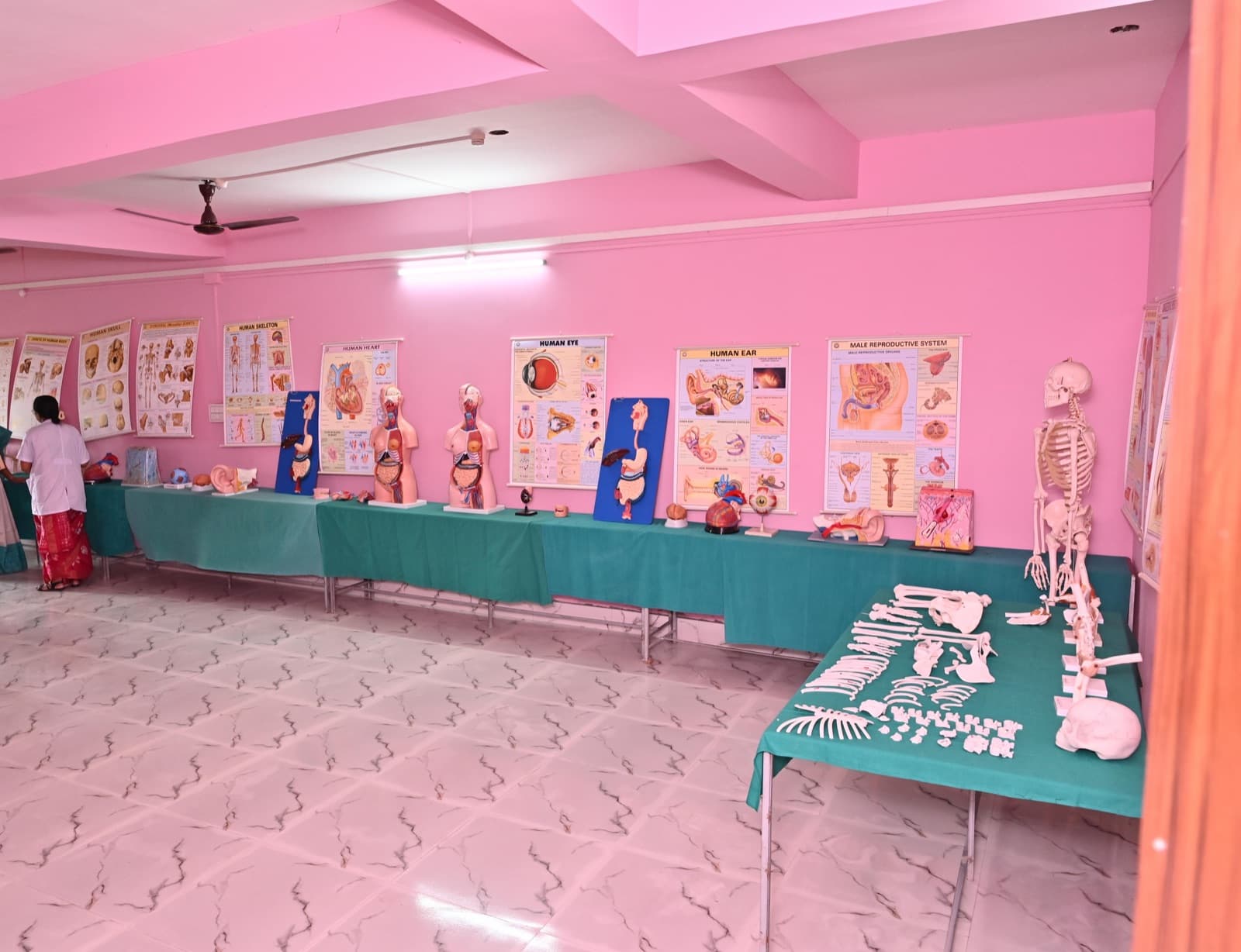 Anatomy Lab