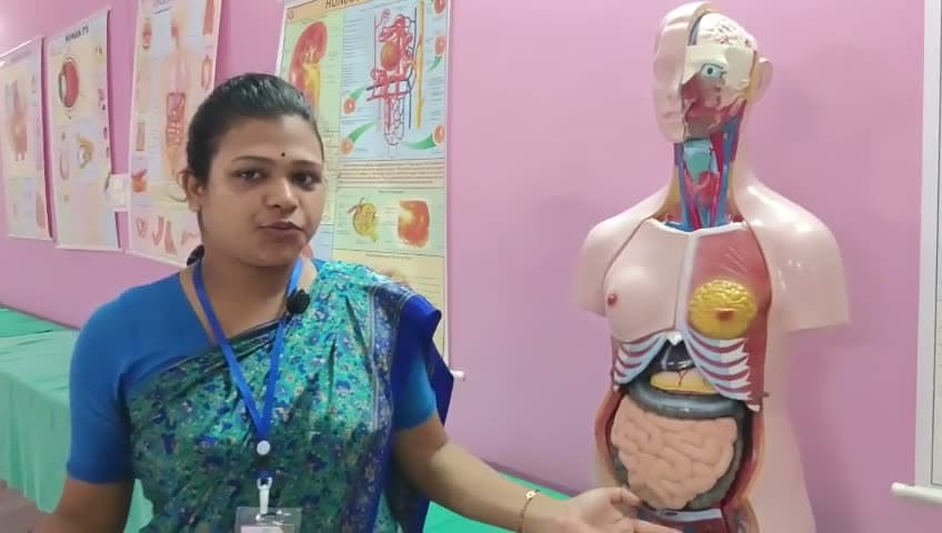 Anatomy Lab